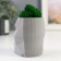 Kashpo concrete "Head" with moss height 8.5 cm gray (moss green stabilized)