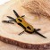 Swiss knife 8B1, gold