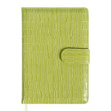 Dated diary of 2025, A5, 168 sheets, DEVENTE. Barbara, a solid cover of leatherette with foam, perforation, liesse, block 70, green