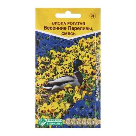 Flower seeds Viola Helvefty "Spring overflows" mixture, F1, 8 pcs