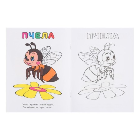 Find out and color the "butterfly"-4