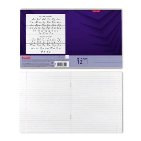 Notebook of 12 sheets in the Erichkrause "Duotone Next", the cover coated cardboard, an offset block 100% whiteness, mix-10