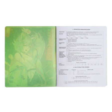 Subject notebook, 48 sheets, cage, computer science, erichkrause "manga", cardboard cover of twin-lak, unit offset white 100%, information block-2