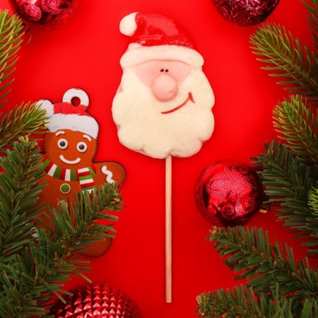Lollipop Santa 30g