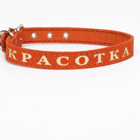 Collar leather single-layer, embossed "beauty", 48 x 2 cm, Osh 32-43 cm, mix of flowers