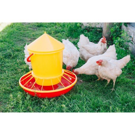 Bunker feeder for poultry at 12 kg, plastic-4