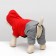 Zimovye jumpsuit for animals "duet", s (DS 20-22, Osh 26, from 30-34 cm), red-gray