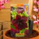 Petunia seeds sophisti black F1 large -flowered, 5 pcs