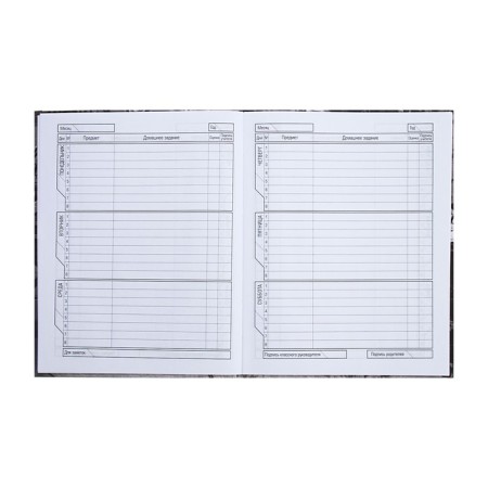 Universal diary for grades 1-11 Selena and Wolf, solid cover, matte lamination, 40 sheets-6