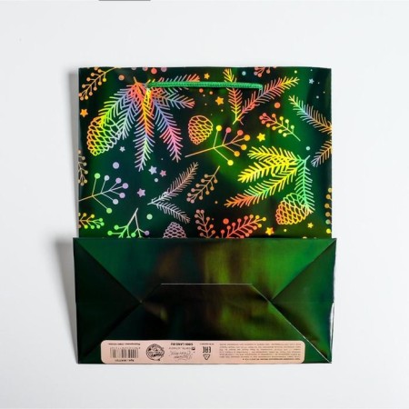 Packet Hologography Vertical “Bumps”, Ml 23 x 27 x 11.5 cm, New Year-3