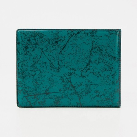 Cover for a student ticket, green color-1