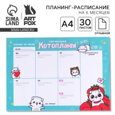 Planning schedule 