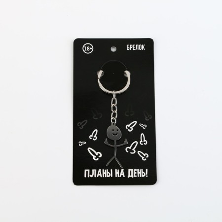 Metallic key keychain with a joke "Plans for the Day", 7 x 3 cm-3