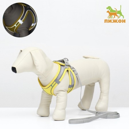 A set with a soft harness, fast-open, m, leash 150 x 1.5 cm, Osh 38-44 cm, og 44-50 cm, yellow