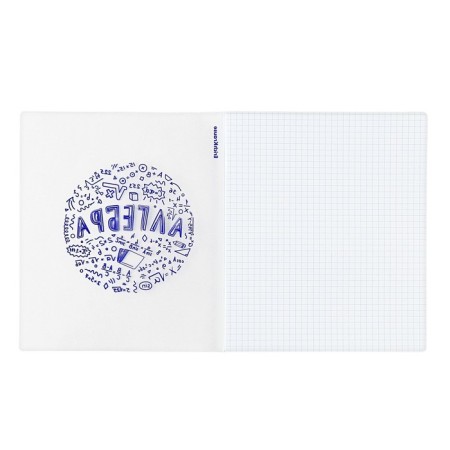 Subject notebook, 48 sheets, cage, algebra Erichkrause "Chaos", plastic cover silk-screen cover, OFSET BELICT 100%, information block-3
