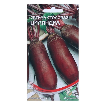 Cylinder beets of "cylinder" 140 pcs
