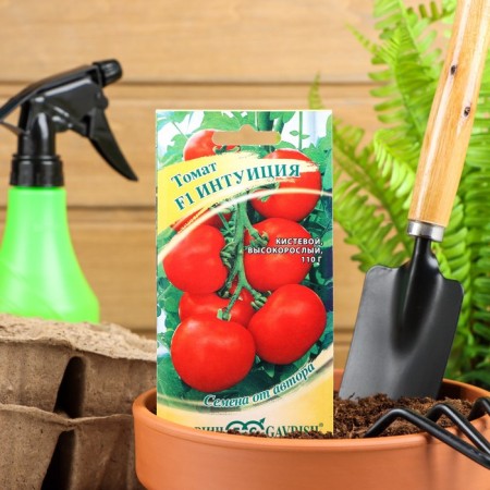 Seeds Tomat "Intuition" F1, mid -season, 12 pcs.