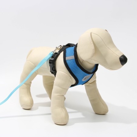 Drinking harness with a leash and reflective patch, s, ok 27, og 30-38, blue-5