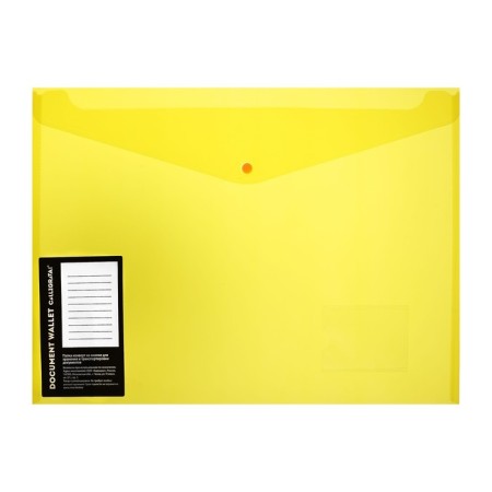 The Convert folder on the A3 button, 180 μm, Calligrata, with pocket for a business card, mix-6