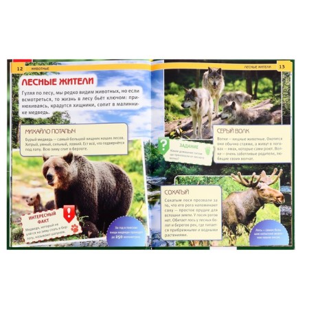Encyclopedia with developing tasks "animals"-5