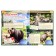 Encyclopedia with developing tasks "animals"