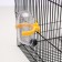 Drill for rodents, 60 ml, transparent with yellow mount