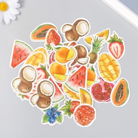 Stickers for creativity "Fruits and berries" embossing gold set 48 pcs 9x7x0.8 cm-2
