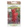 Flowers of Kleschevina "Zanzibarskaya", 5 pcs