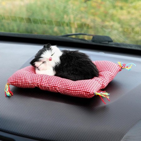 Toy on a car panel, a cat on a pillow, black and white color
