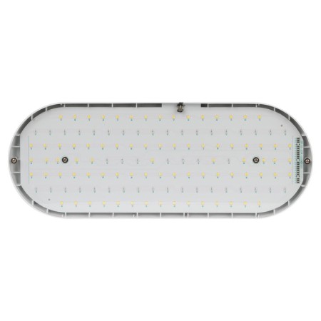 Lamp for plants ERA Fito-25W-QLED-Fly suspended full spectrum 25 W-14