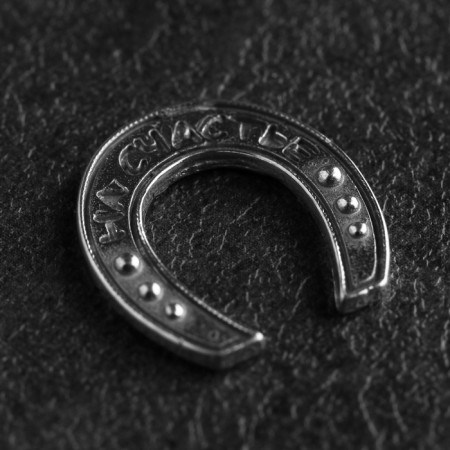 Koshelki souvenir "Horseshoe for happiness", tin-8