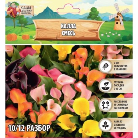 Calla "mixture", district 10/12, 5 pcs, spring 2024