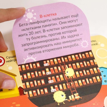A book with windows "viruses and bacteria. What do we know about them?"-1