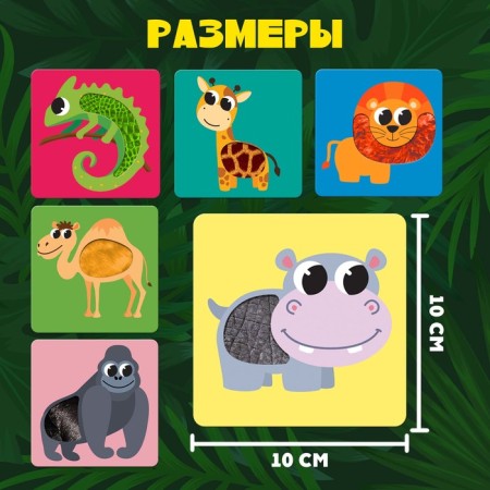 Developing Africa Animals, Tactile Cards-3