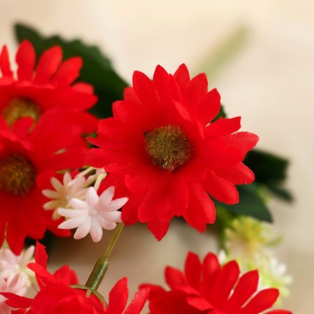 Bouquet "Chrysanthemum Counsel Selebret" 4x25 cm, mix-1