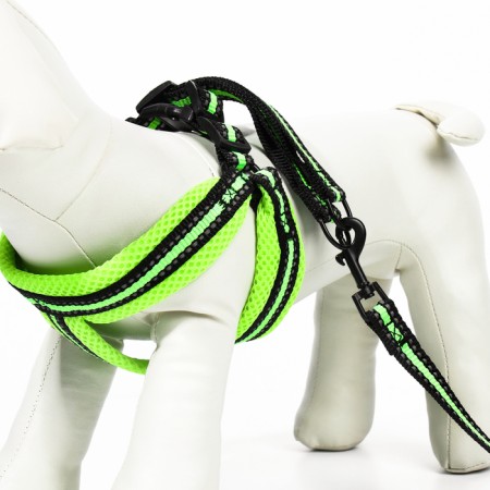 The ammunition set is soft, reflective, leash 120 x 1.5 cm, Osh 35-53 cm, yellow-3