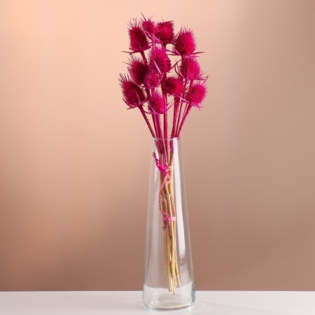 Set of dried flowers "Brush", banch 7-8 pcs, length 50 (+/- 6 cm), fuchsia