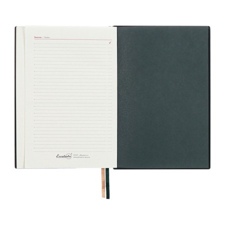 Dated 2025 diary, A5, 176 sheets of Escalada, solid cover of artificial leather, 3D design, embossing foil, lies, cream block 70 g/m2, green-14