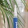 Whitening pencil for teeth, 3 ml