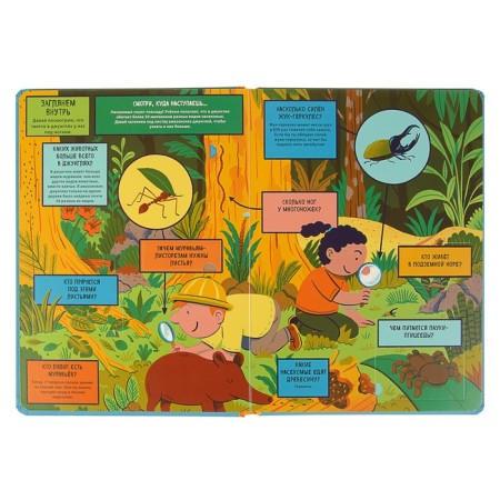Book with windows "Jungle"-2