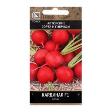 Seeds Radis Cardinal F1, 2gr