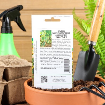 Bingo cucumber seeds, F1, 5 pcs.-1