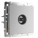 Wormy (silver) WL06-TV-2W TV