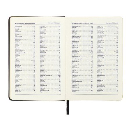 Leduced Diary A5, 140l, Cage, leatherette, elastic band, yellow cut, black-7