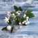 Decor "Winter Magic" White Berries leaves, 35 cm