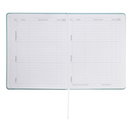 Universal diary for grade 1-11 Modern Concept, solid cover, artificial leather, silkography, liesse, 80 g/m2-7