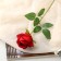 Artificial flowers "Karina" 7x56 cm, red