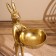 VAZ "Hare treats" aluminum 20x25x47 cm