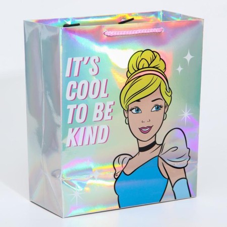 Gift package, 25x21x10 cm, holography, princesses-1