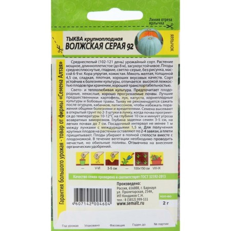 Семена Тыква "Волжская Серая 92", Сем. Алт, ц/п, 2 г-3
